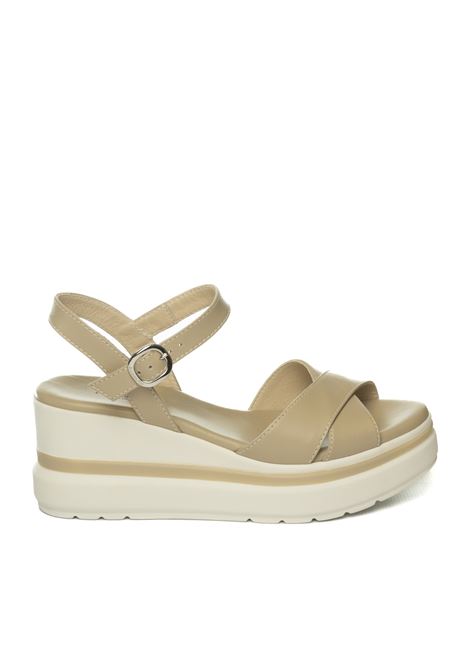  NERO GIARDINI | 513510BAROLO-LINO